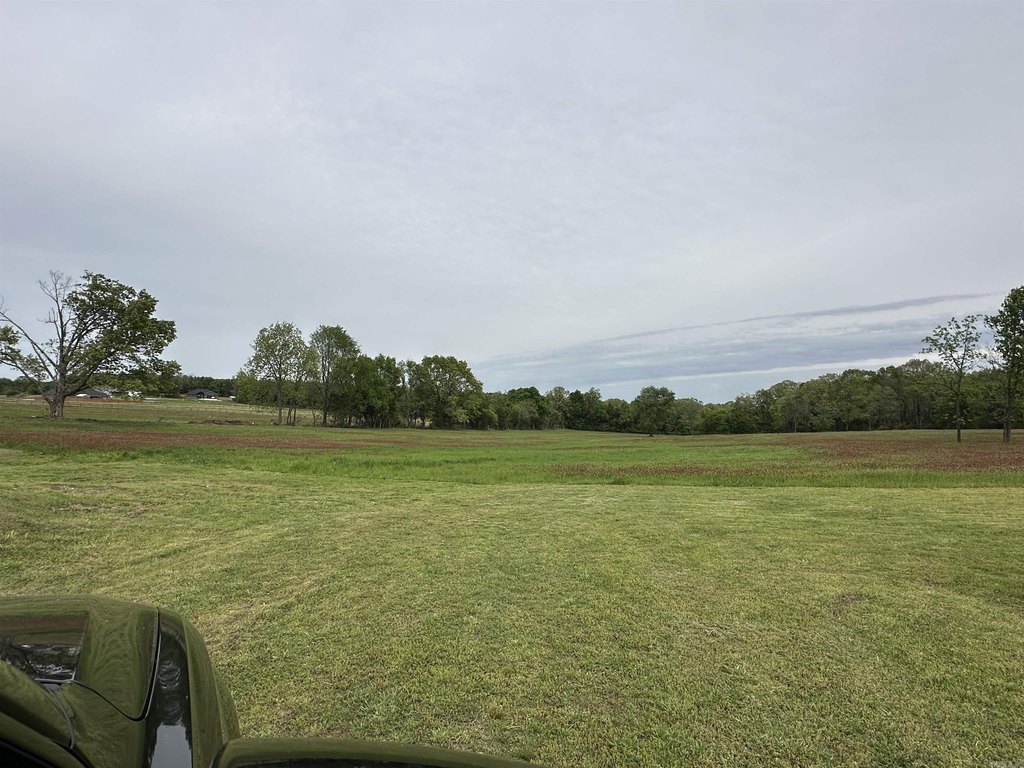Picture 7