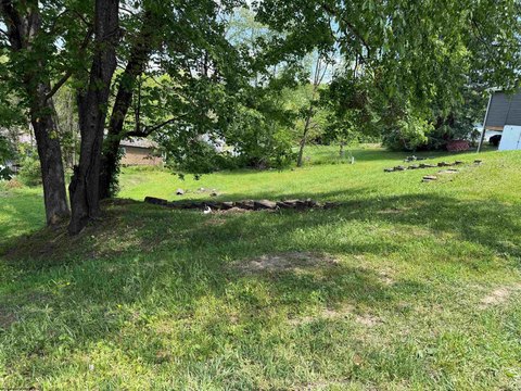 Residential Land in Belington, WV
