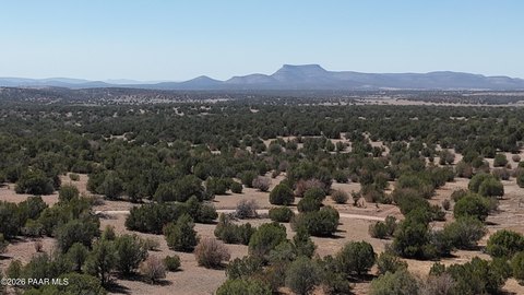 LAND - Seligman, AZ