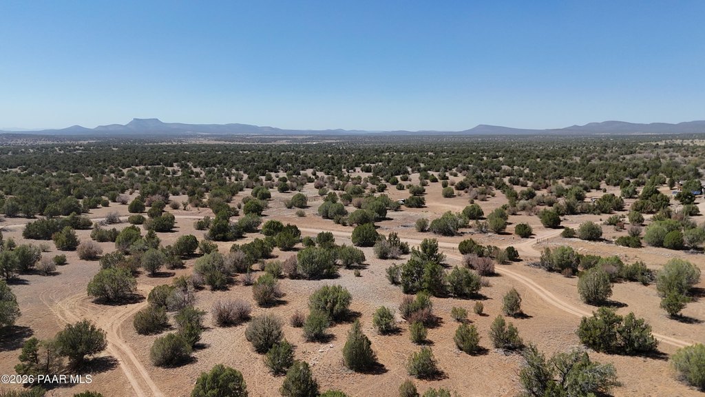 Picture 61