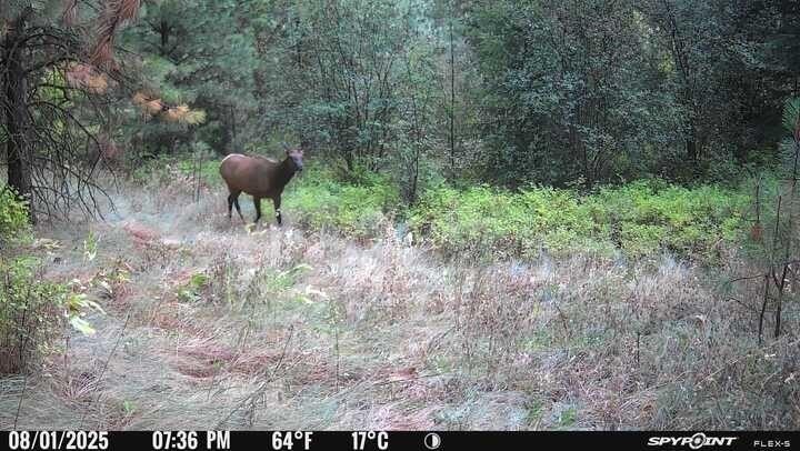 Picture 3