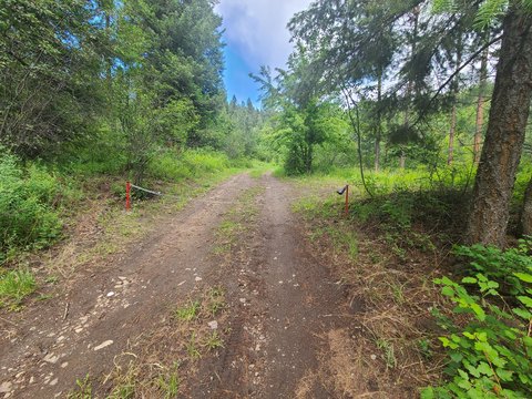 Kettle Falls Timbered Acres