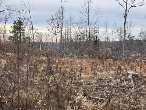 Ozark Land with Stream Access