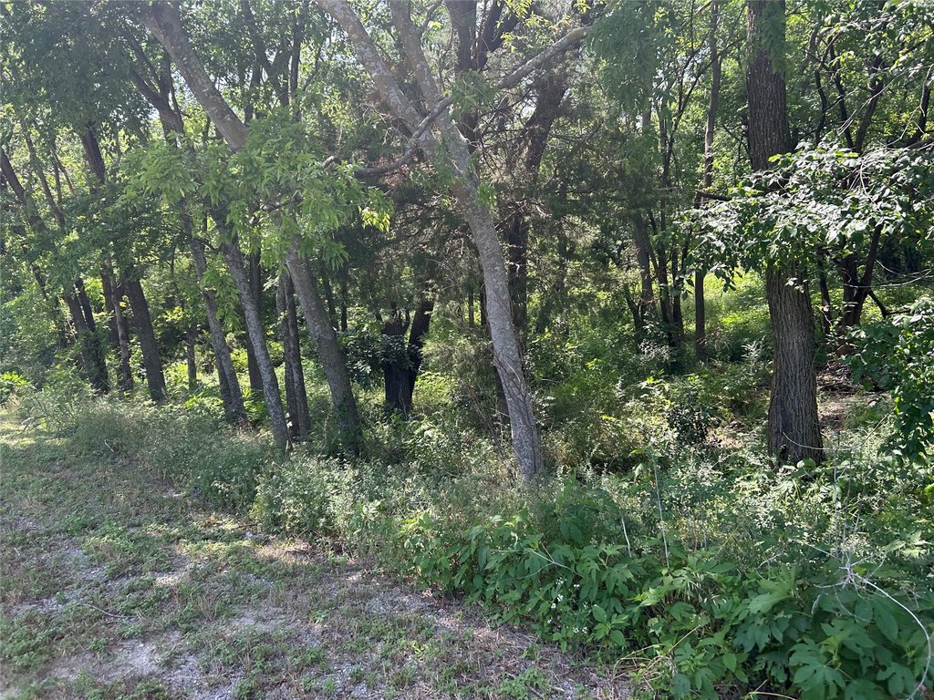 Picture 3