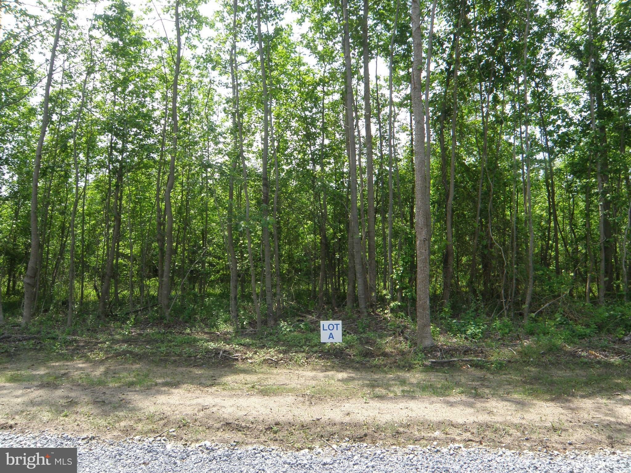 Georgetown Acre Ready For Building