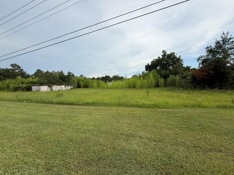 LAND - Ashford, AL
