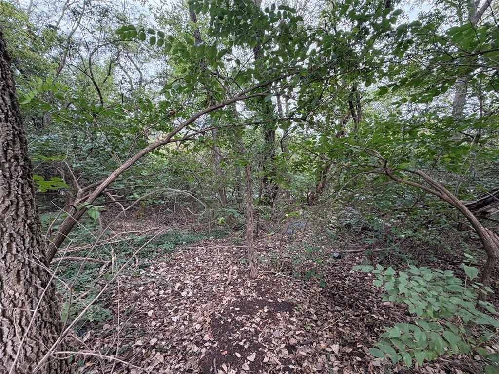 Picture 3