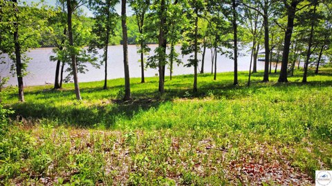 Unrestricted Waterfront Land