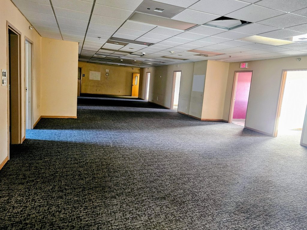 Picture 6