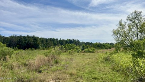 Versatile Land with Development Potential