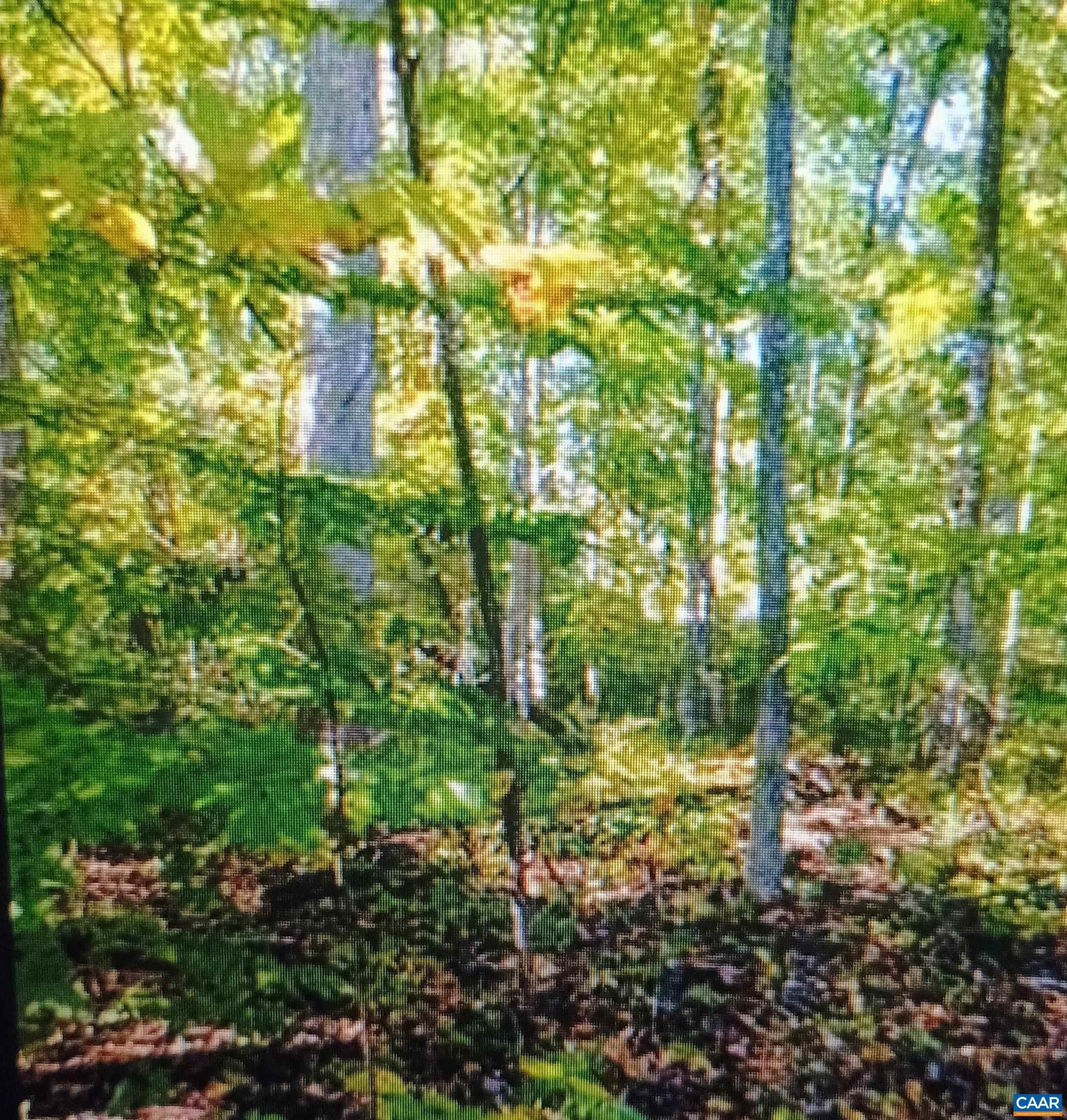Residential Lot in Gated Community