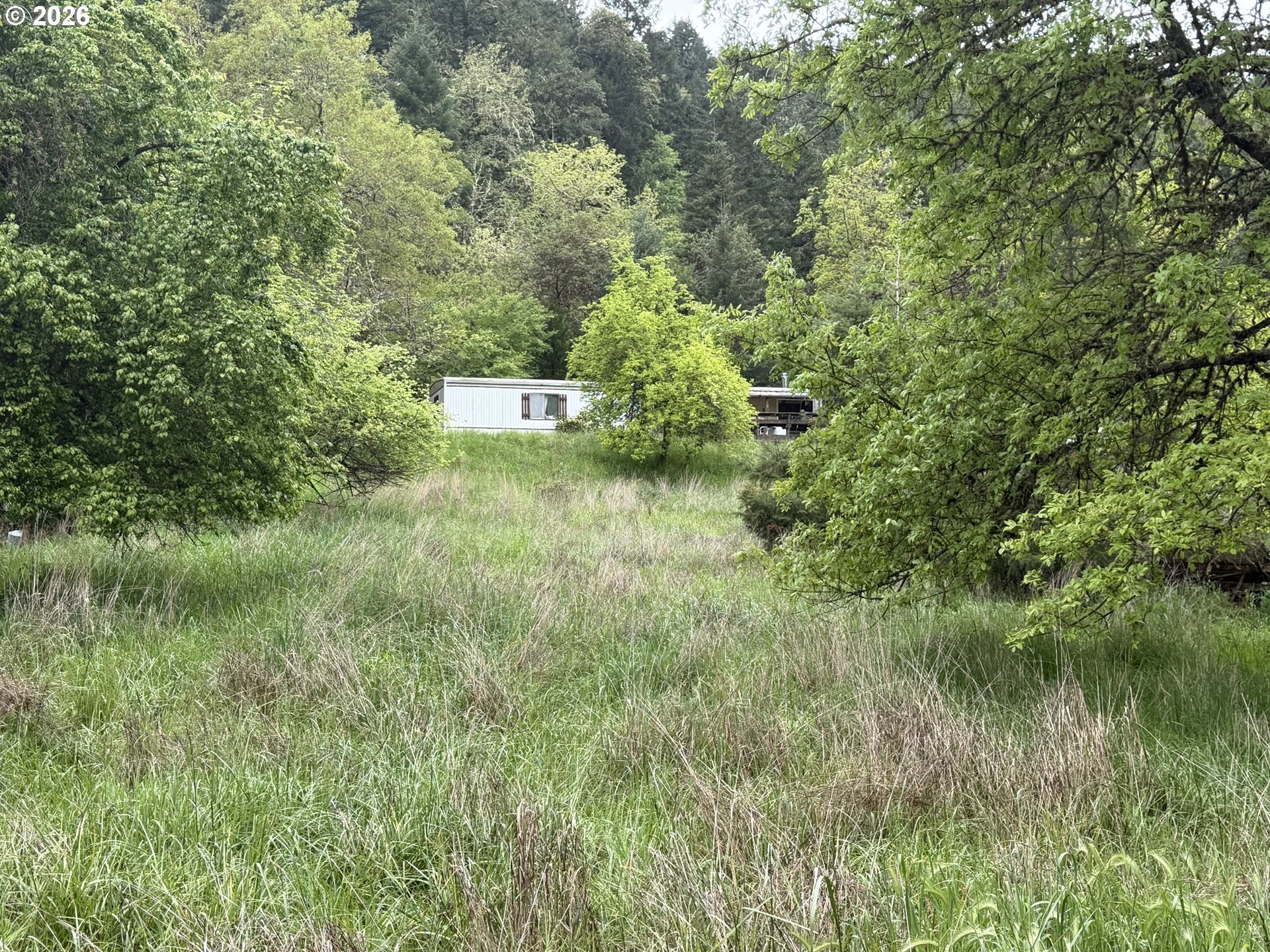 Land with Timber and Utilities
