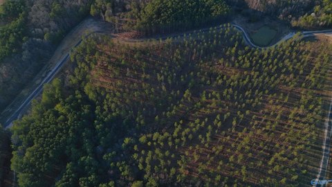 Secluded Homesite with Lake Access