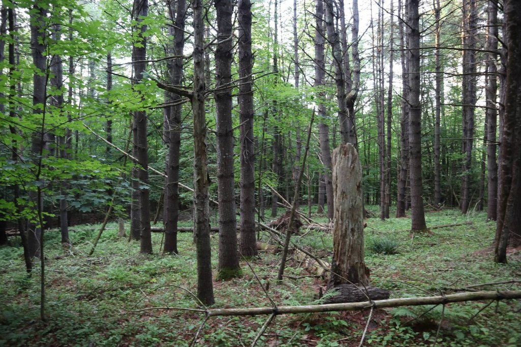 Picture 30