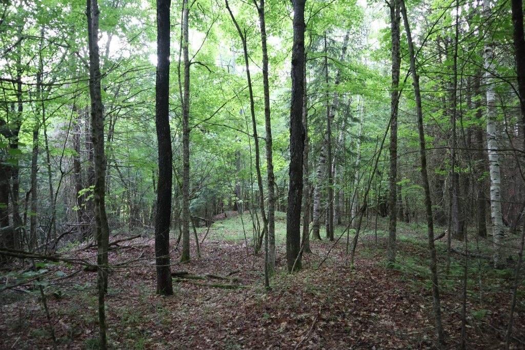 Picture 25