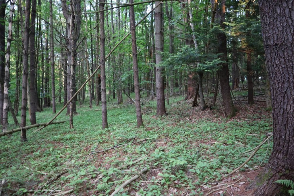Picture 9