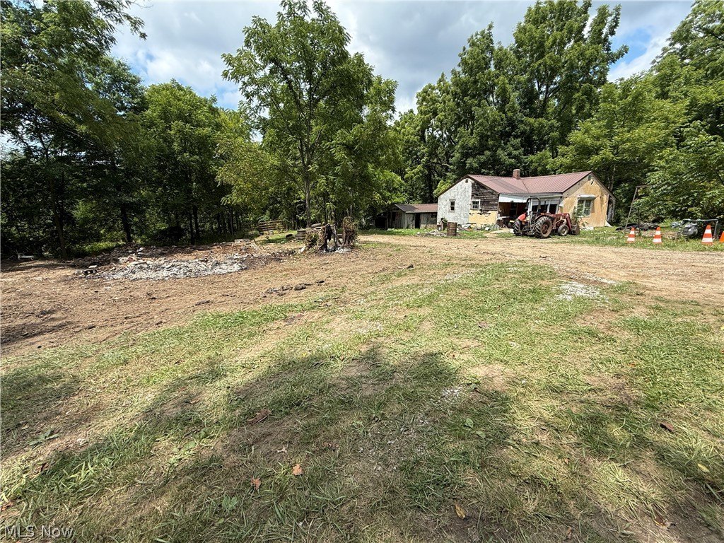 Picture 19