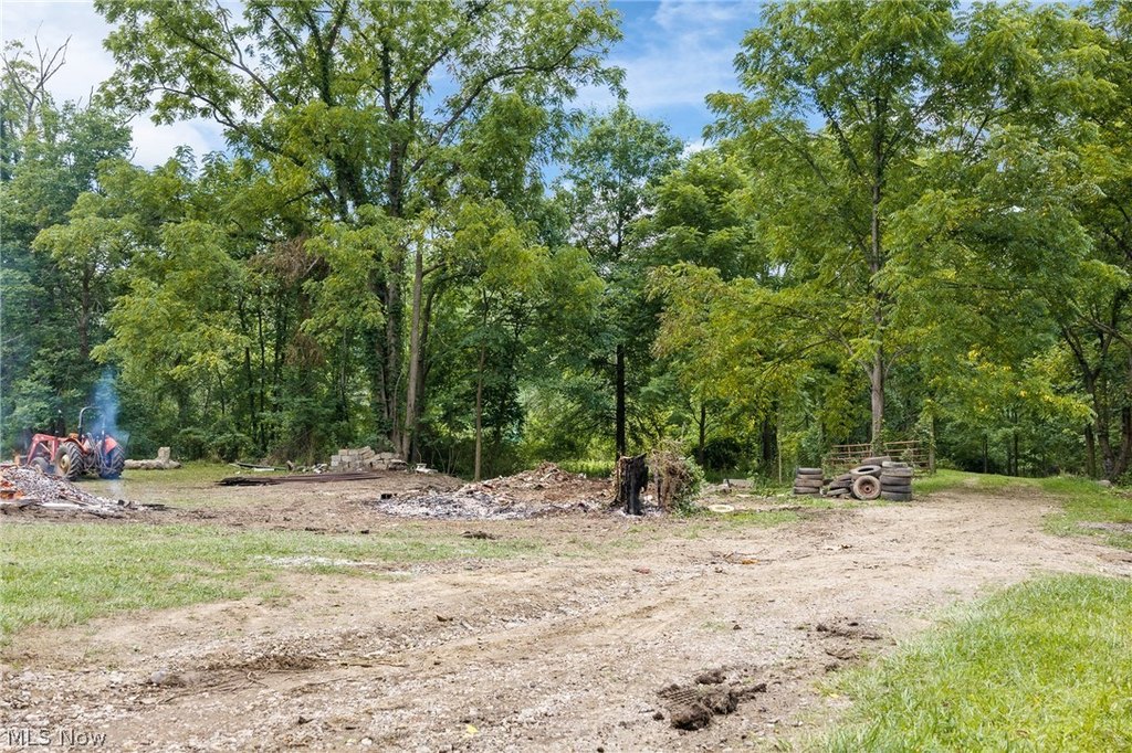 Picture 23