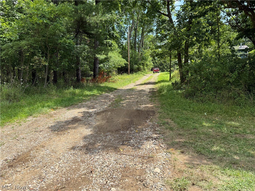 Picture 21