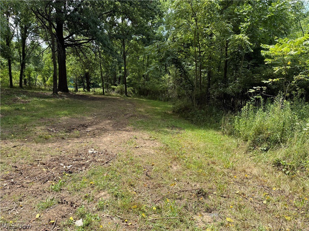 Picture 17