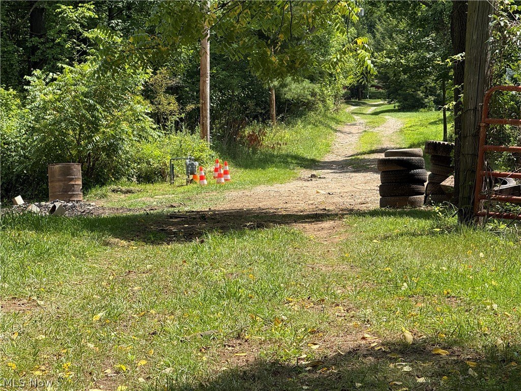 Picture 20