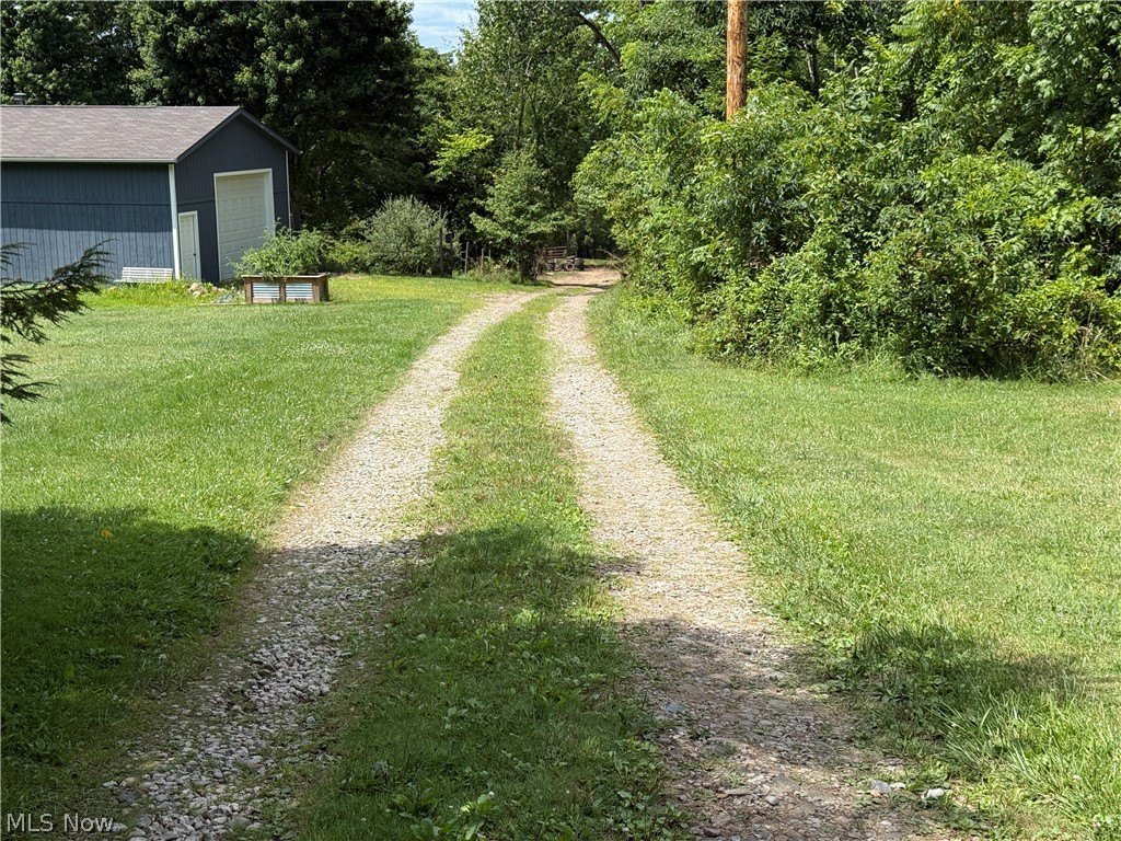 Picture 13