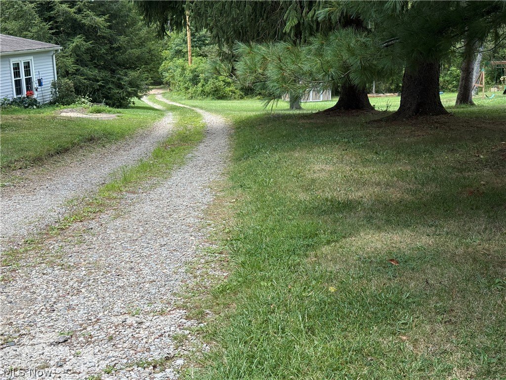 Picture 10