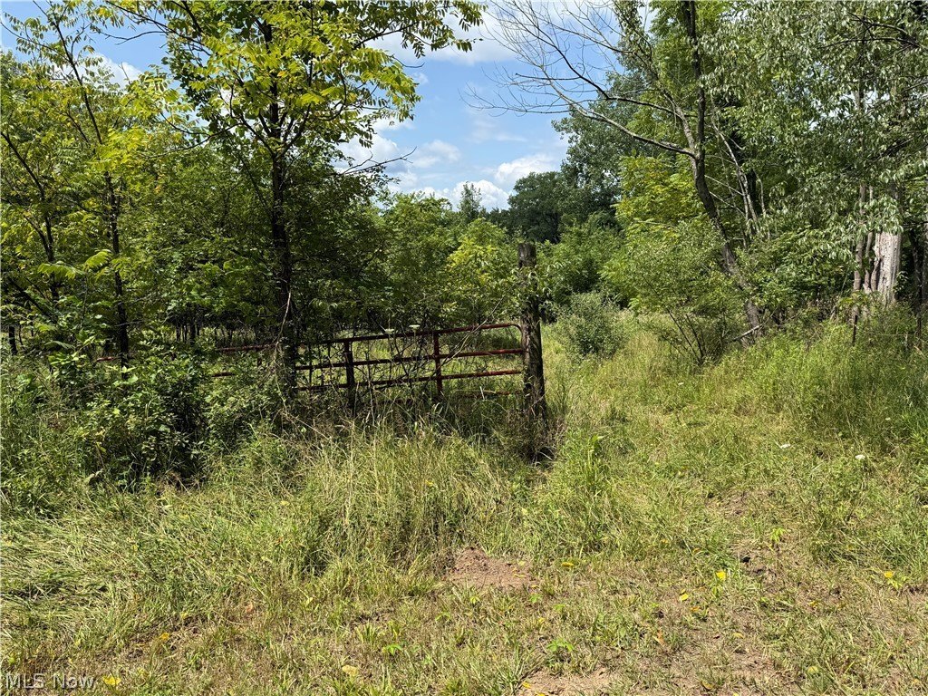 Picture 15