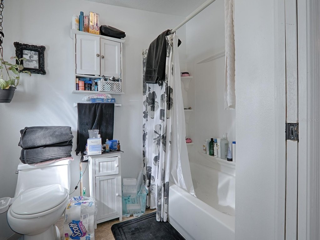 Picture 12