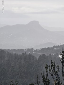 Forested Hill Top Home Pad