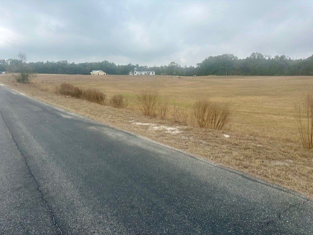Picture 5