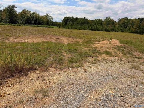 LAND - Piedmont, AL