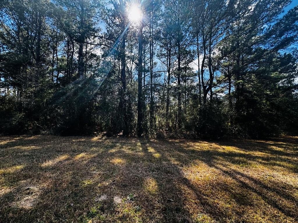 Land in White Cypress Lakes