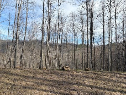 LAND - Whittier, NC