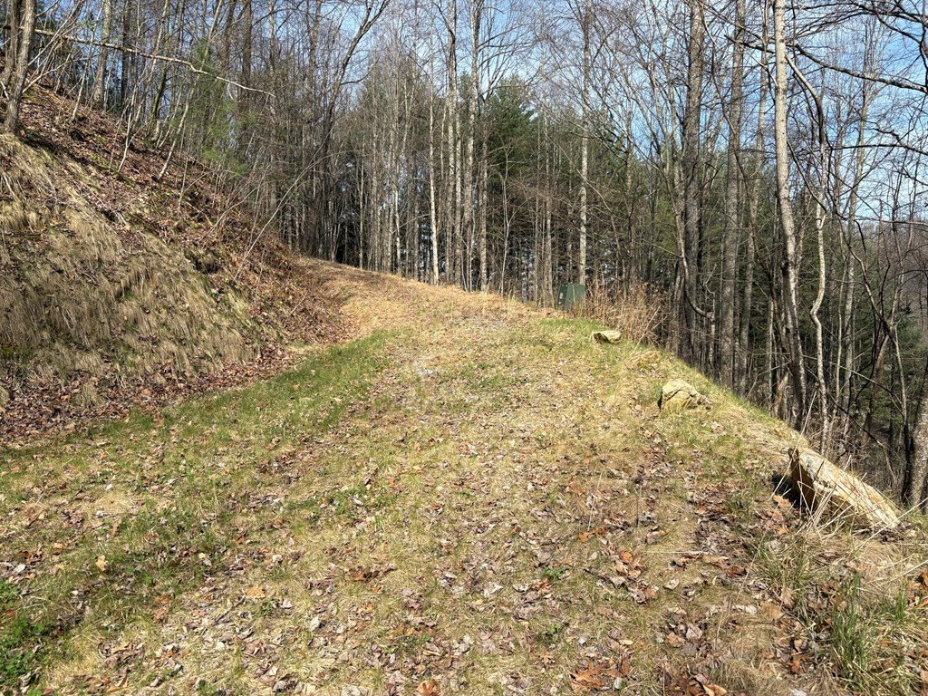 Picture 3