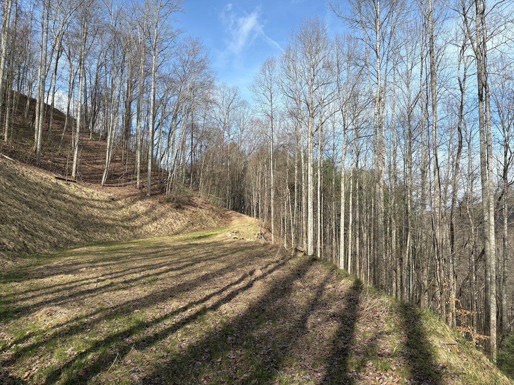 Picture 4