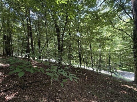 Gated Mountain Home Lot