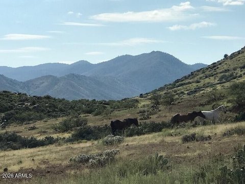 LAND - Mayer, AZ