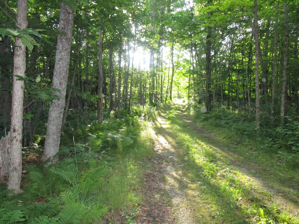 Picture 8