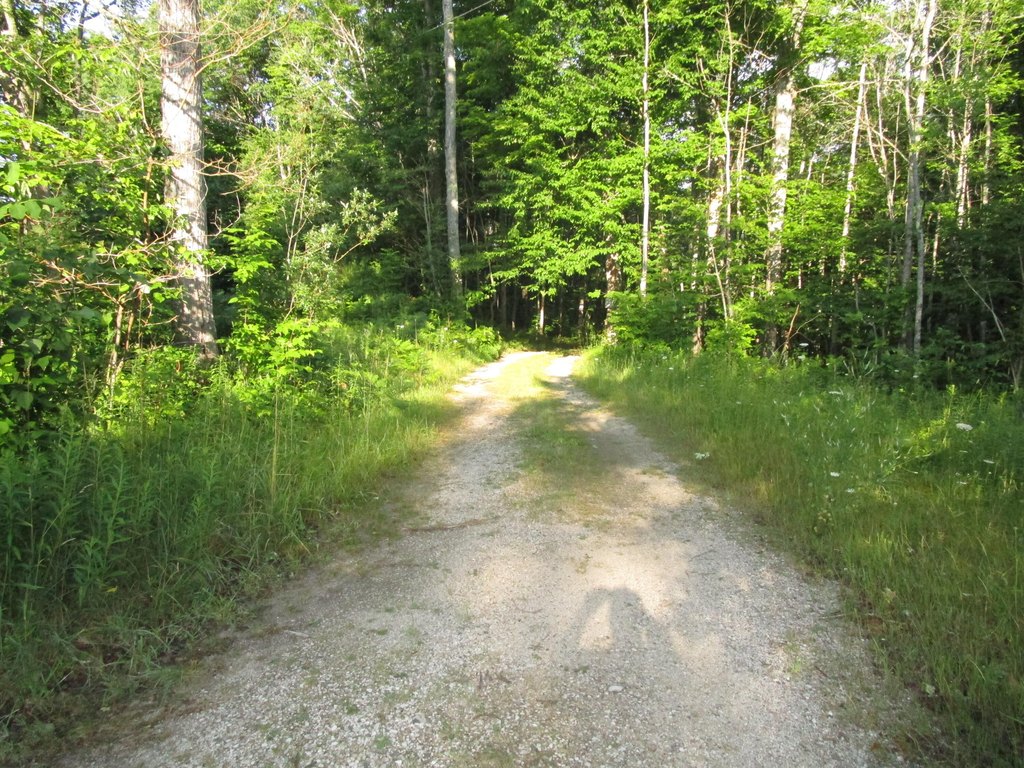 Picture 12