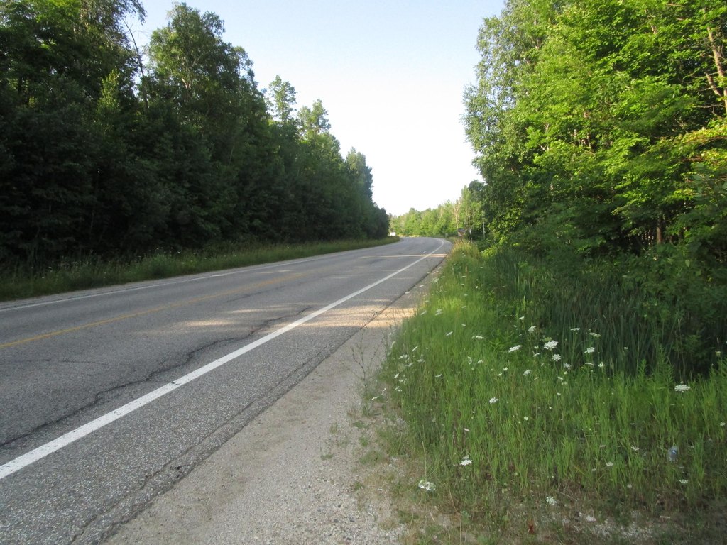 Picture 13