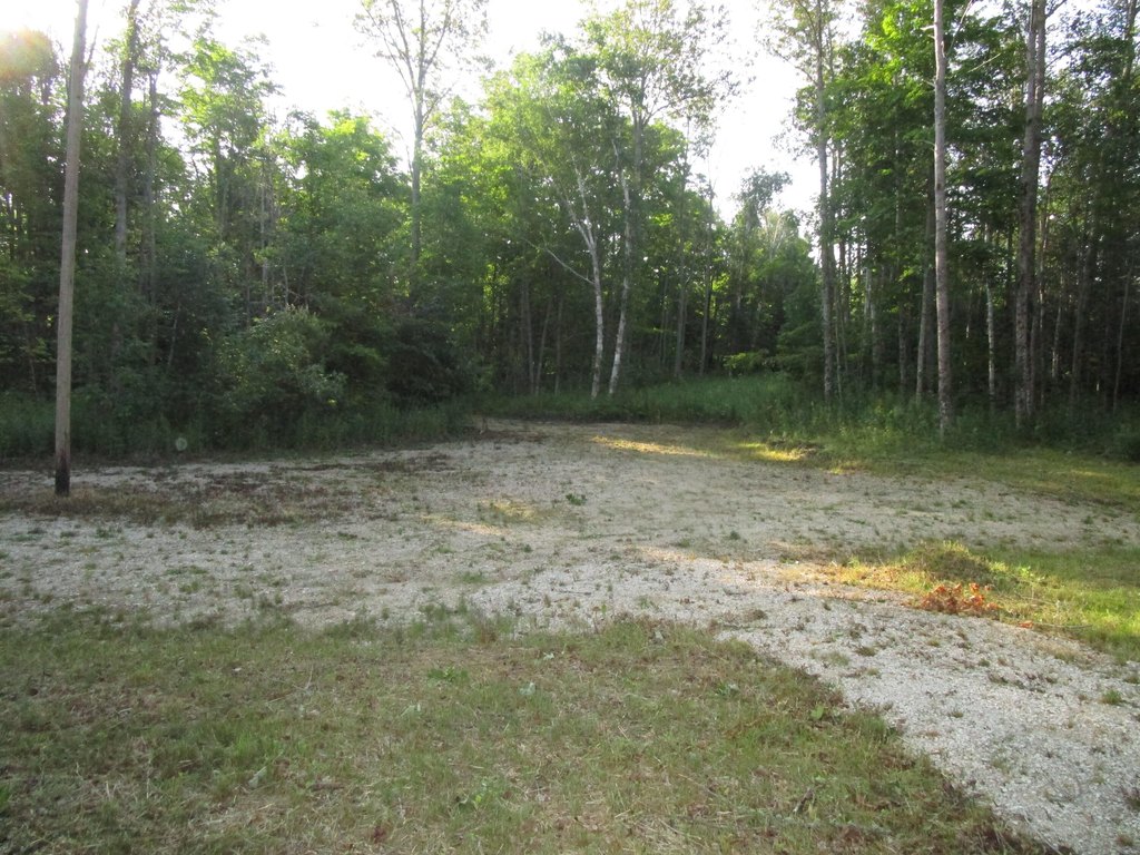 Picture 5