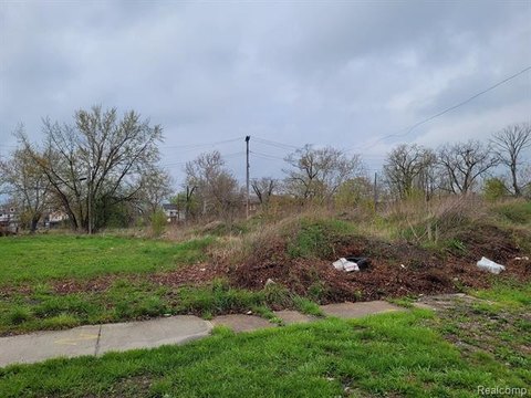Detroit Land Bundle Opportunity