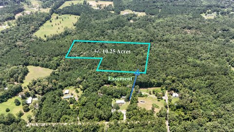DeFuniak Springs Wooded Acreage