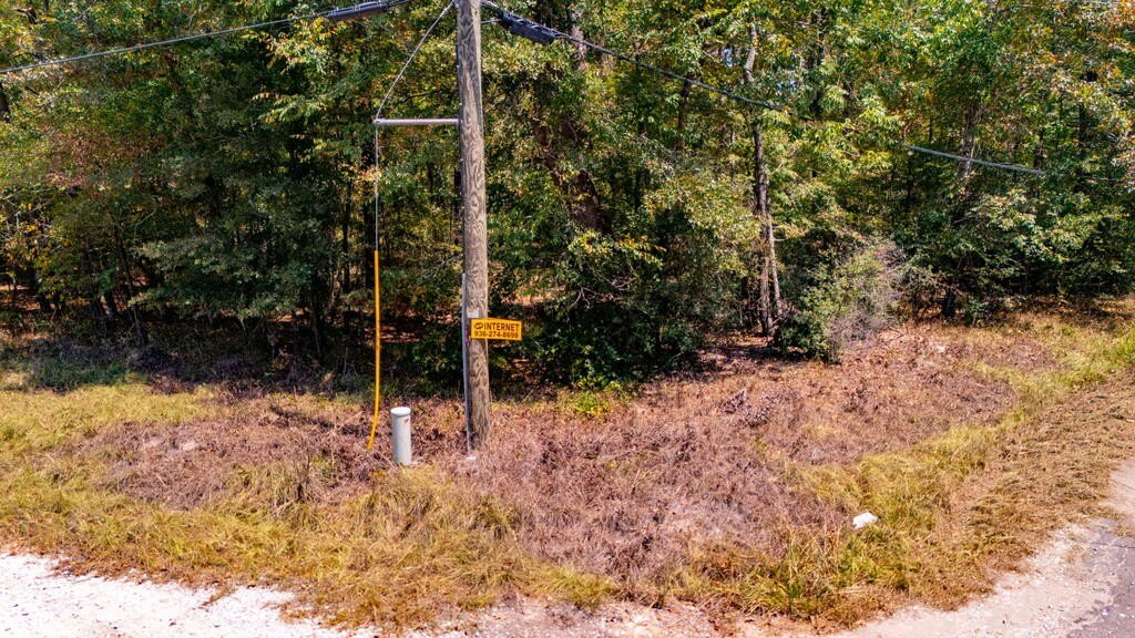 Picture 9