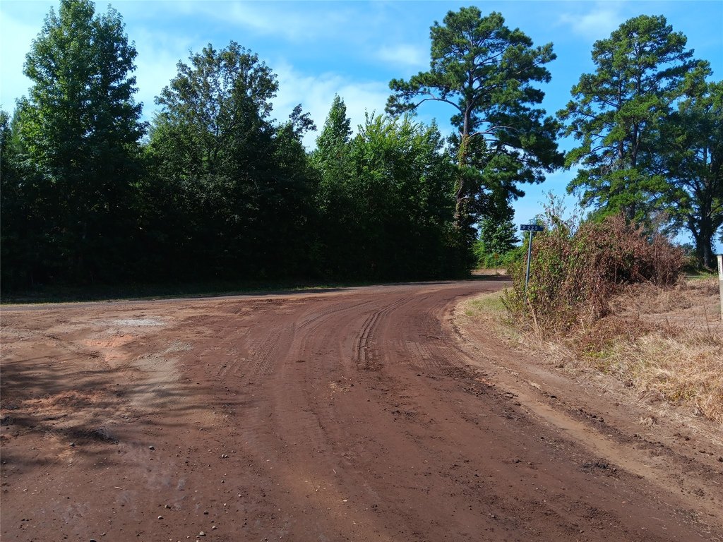 Picture 2