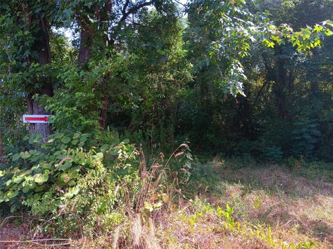 Heavily Wooded Land in Carthage