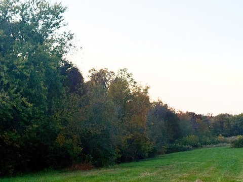 LOTS AND LAND, Holland, IN