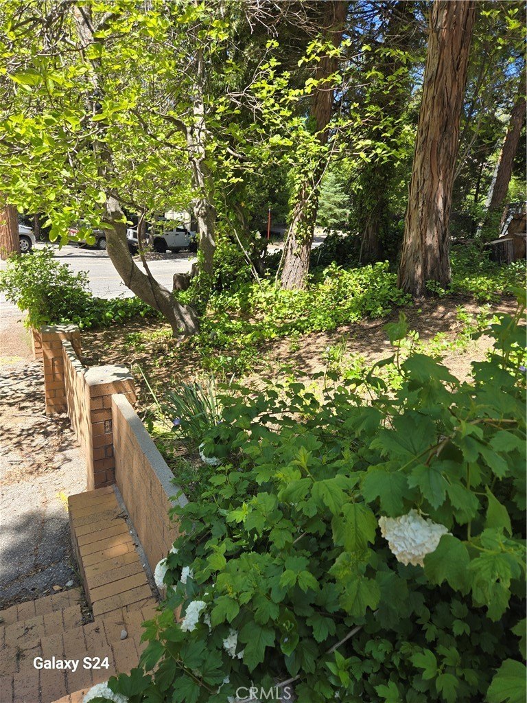 Vacant Lot in Cedar Glen