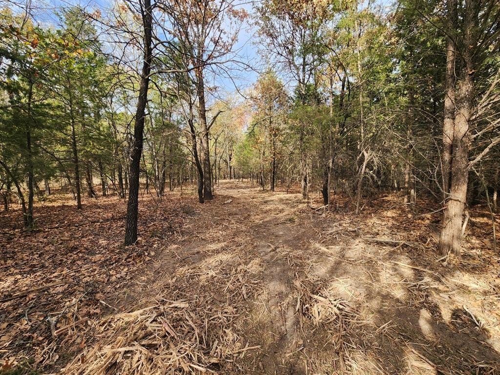 Picture 9